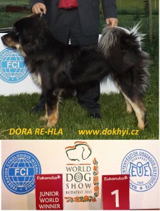 dora-re-hla-svetovy-junior-vitez-2013-budapest.jpg