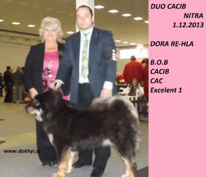 dora-re-hla-b.o.b.-na-duo-cacib-nitra-fc.jpg