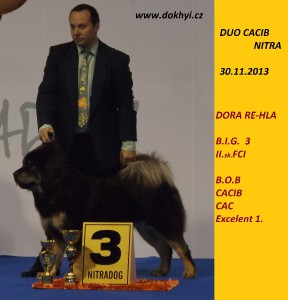 dora-re-hla-b.i.g.3.misto-na-duo-cacib-nitra-fc.jpg