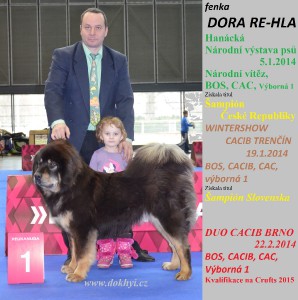 dora-re-hla-cz-www-trencin-brno--olomouc-2014duo-cacib-int.jpg