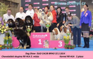 duo-cacib-brno-22.2.2014-2.misto-chovatelska-skupina-re-hla.jpg