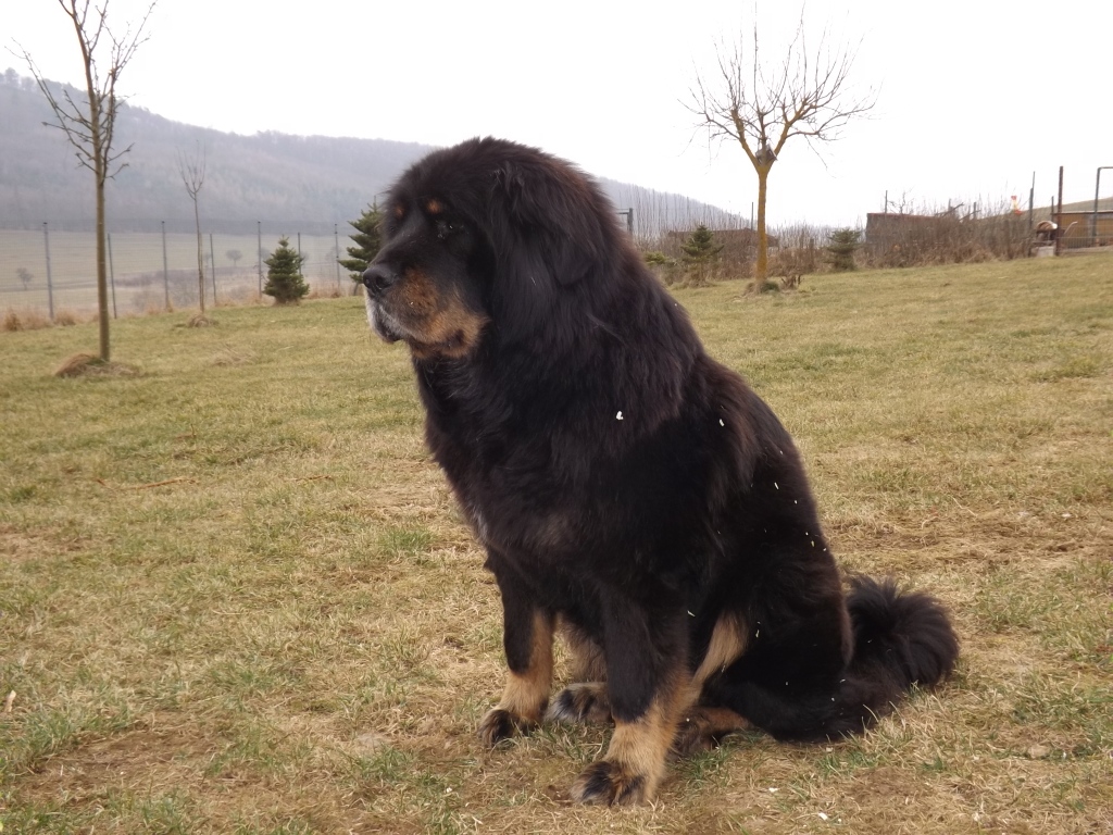 BRORA RE-HLA matka  (1)