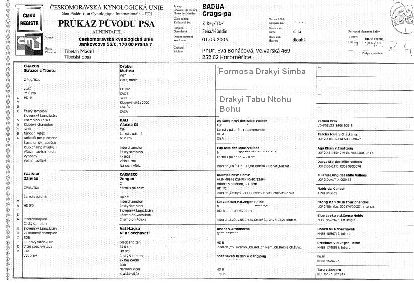 Badua Grags-pa pedigree.JPG