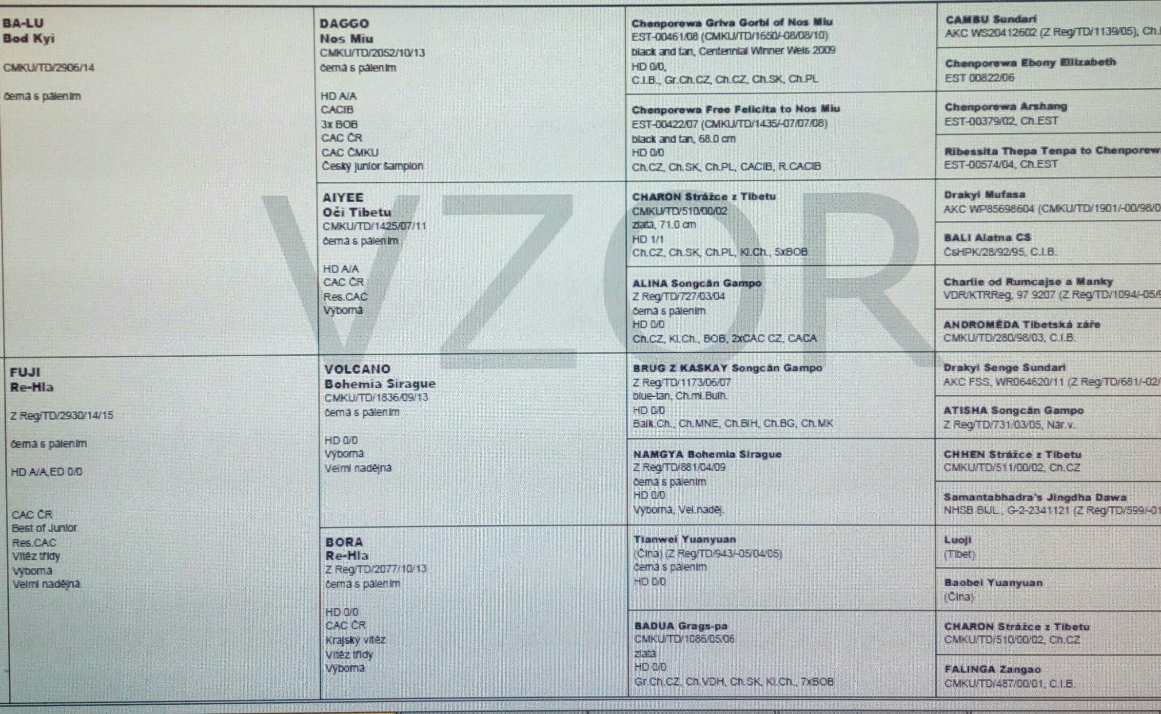 Rodokmen vrh I 2019