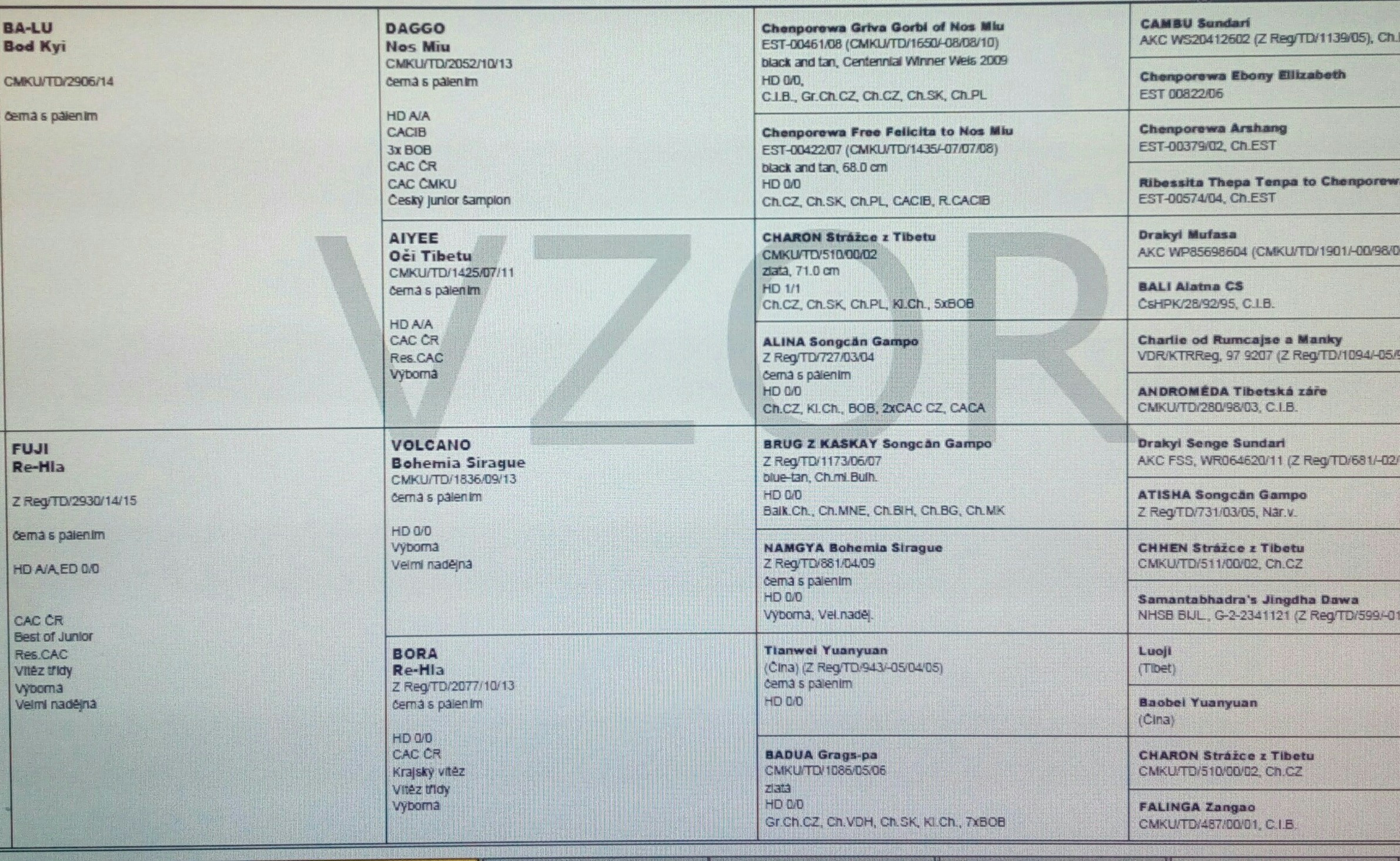 Rodokmen vrh I 2019