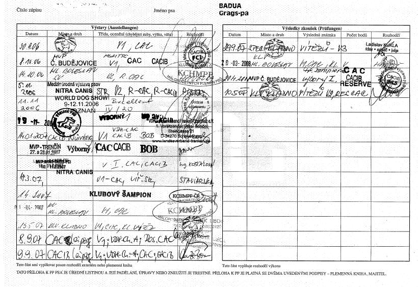 Badua Grags-pa pedigree (3).JPG