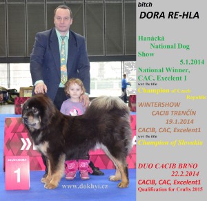 dora-re-hla--trencin-brno--olomouc-2014duo-cacib-int.jpg